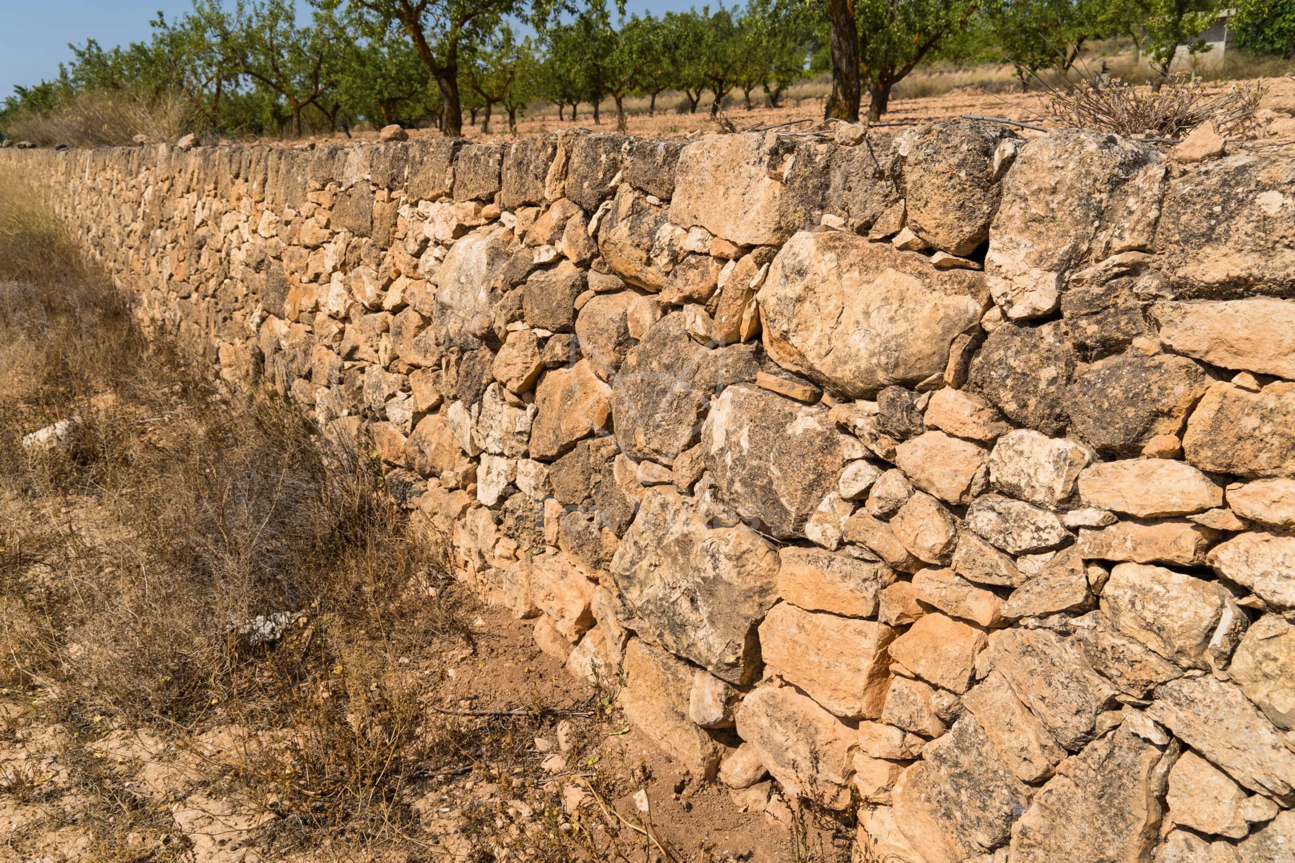 Land 0 M² In Pinoso, Spain