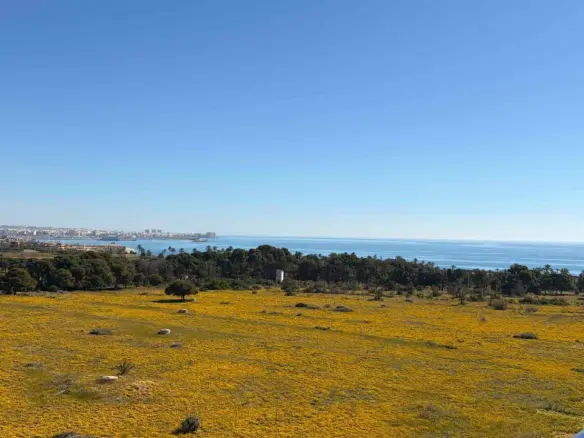 Apartment Of 70 M² In Orihuela Costa, Spain