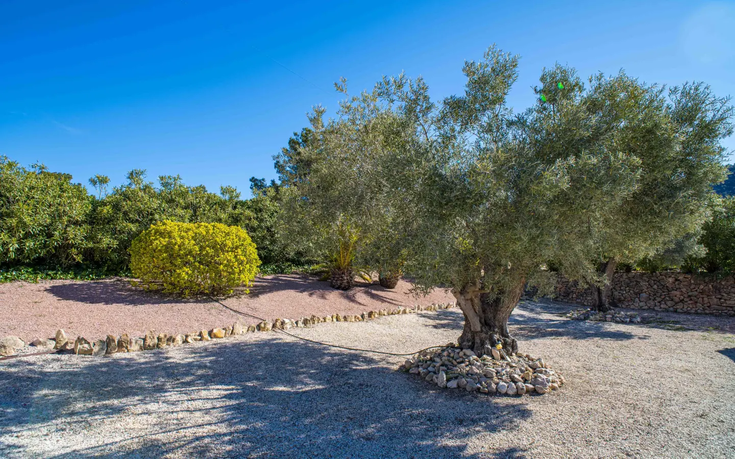 3-bedroom Detached Villa In La Zarza, Spain (222 M²)