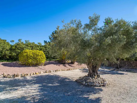 3-bedroom Detached Villa In La Zarza, Spain (222 M²)
