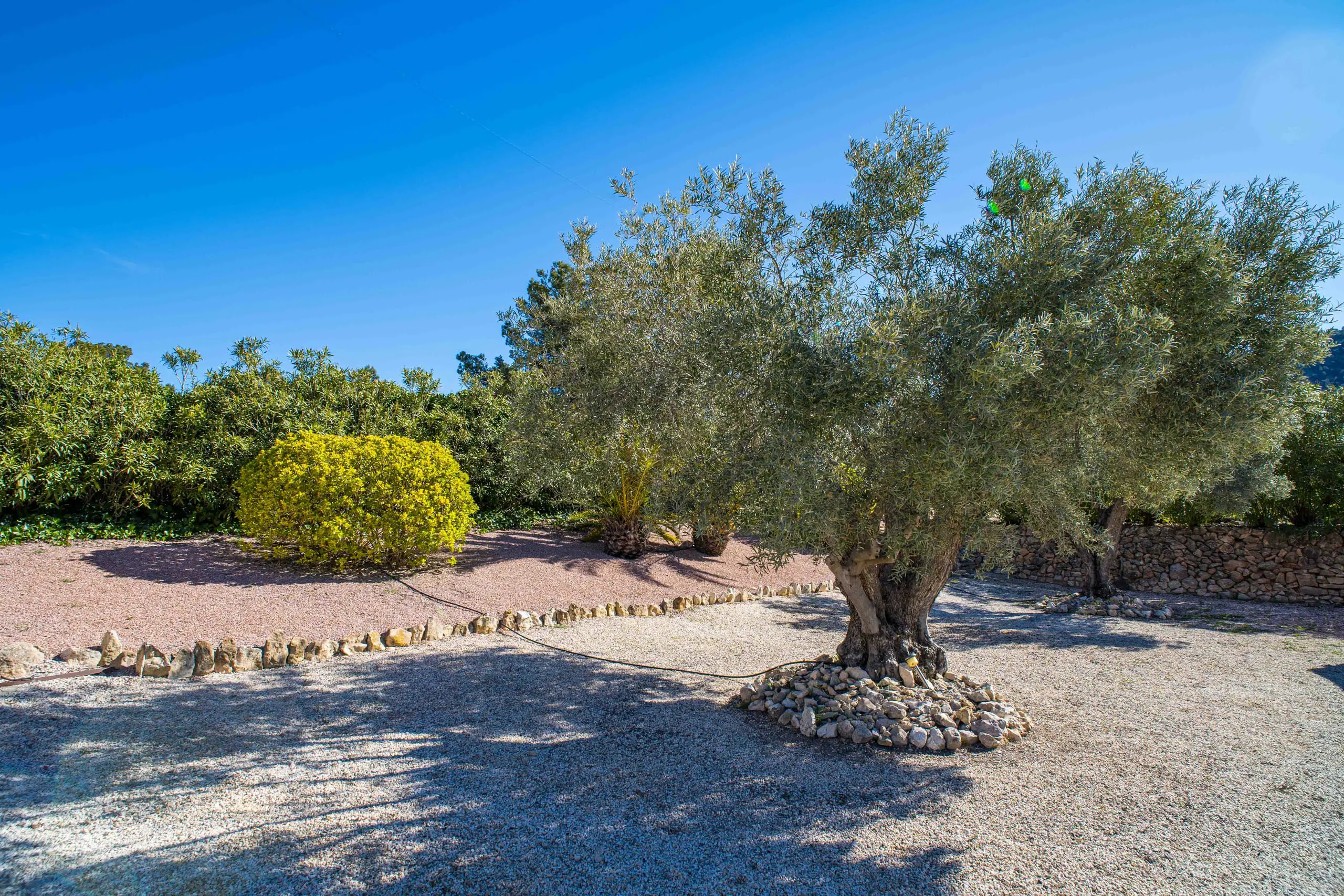 Detached Villa Of 222 M² In La Zarza, Spain