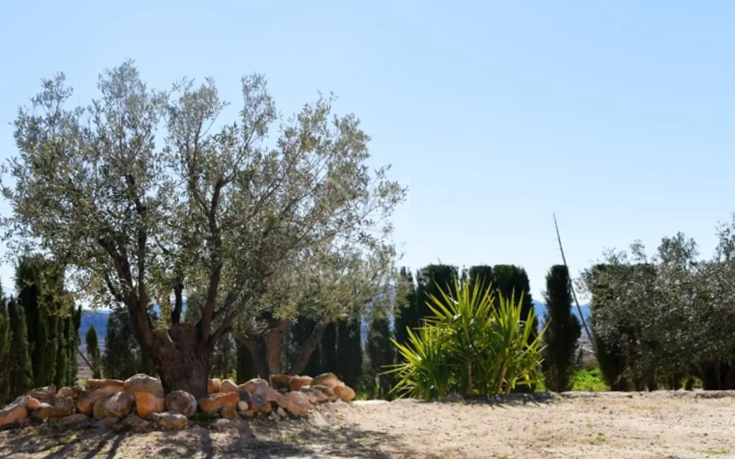 4-bedroom Country House In Jumilla, Spain (160 M²)