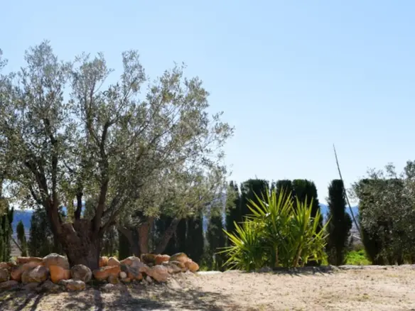 4-bedroom Country House In Jumilla, Spain (160 M²)