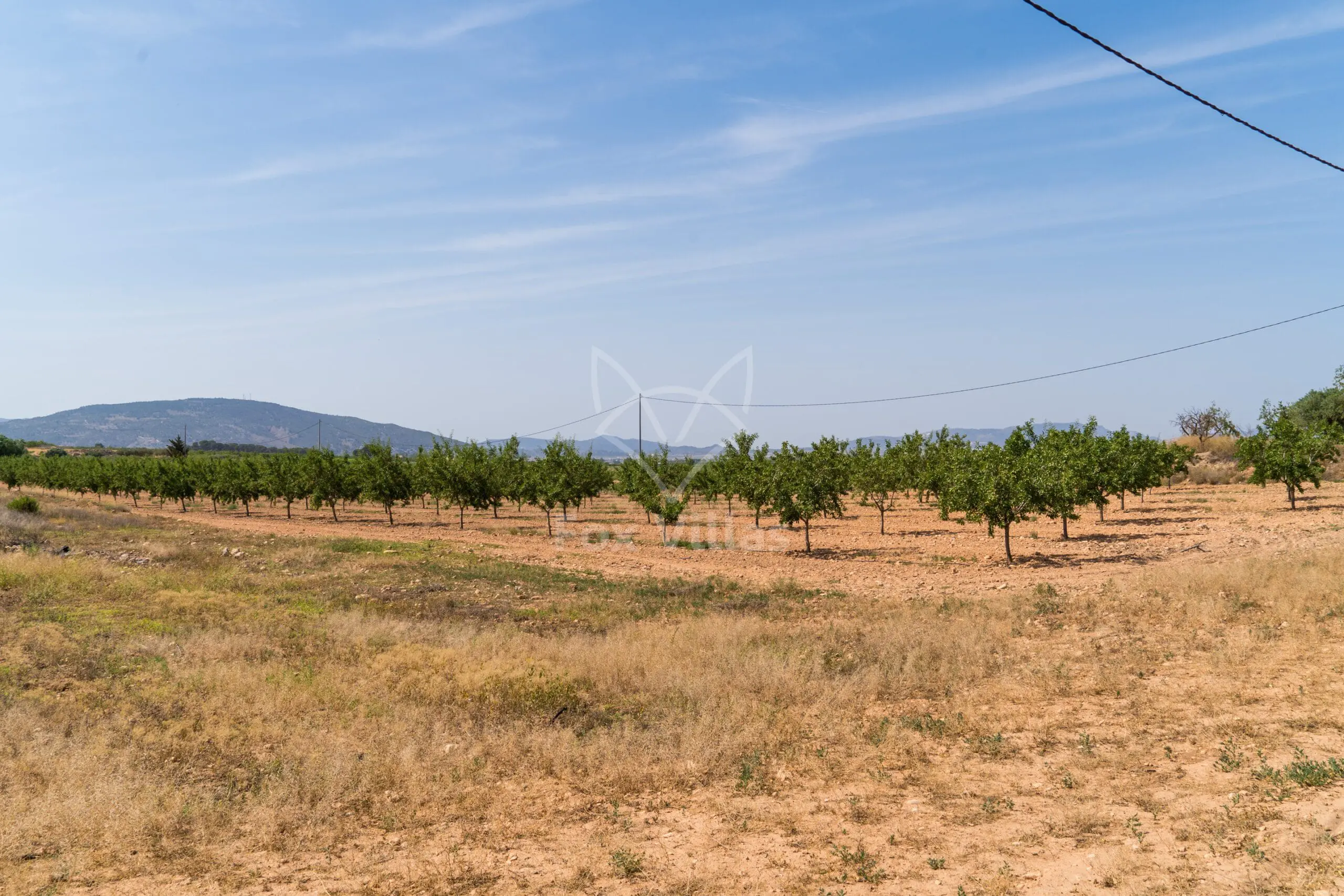 Land 0 M² In Pinoso, Spain