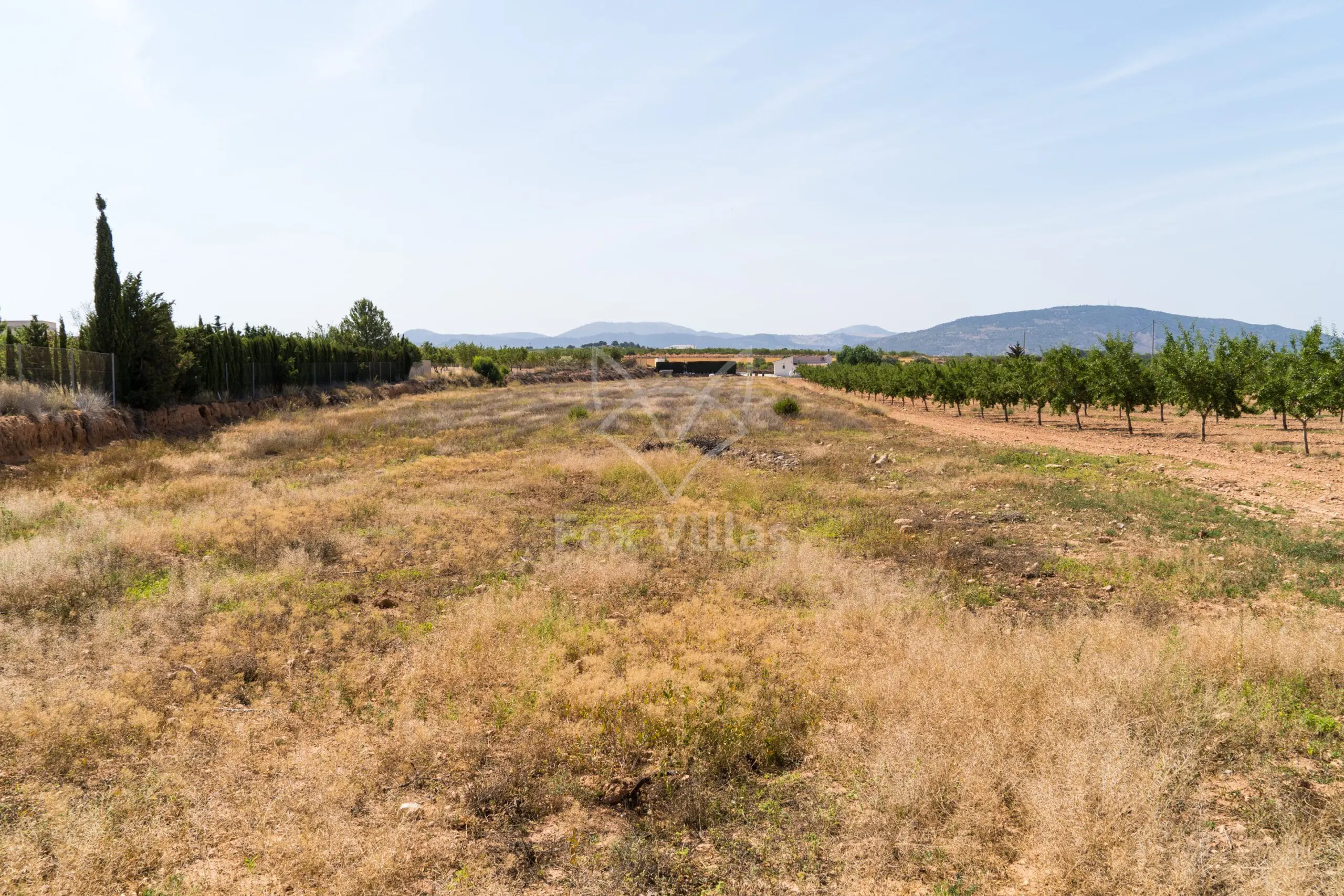 Land 0 M² In Pinoso, Spain