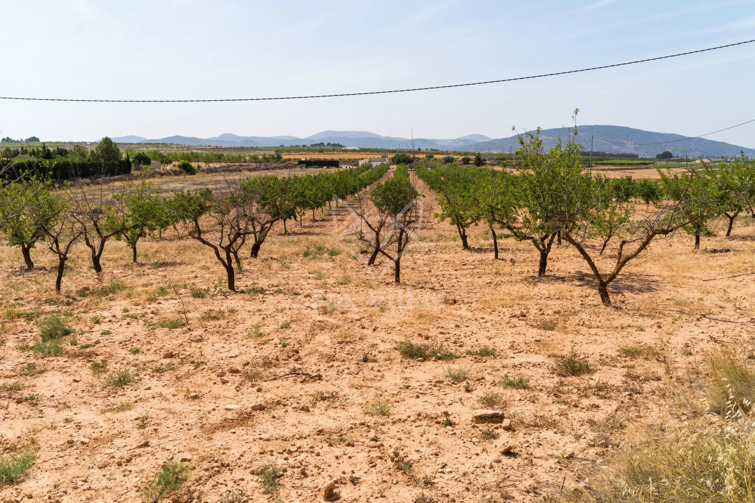 Land 0 M² In Pinoso, Spain