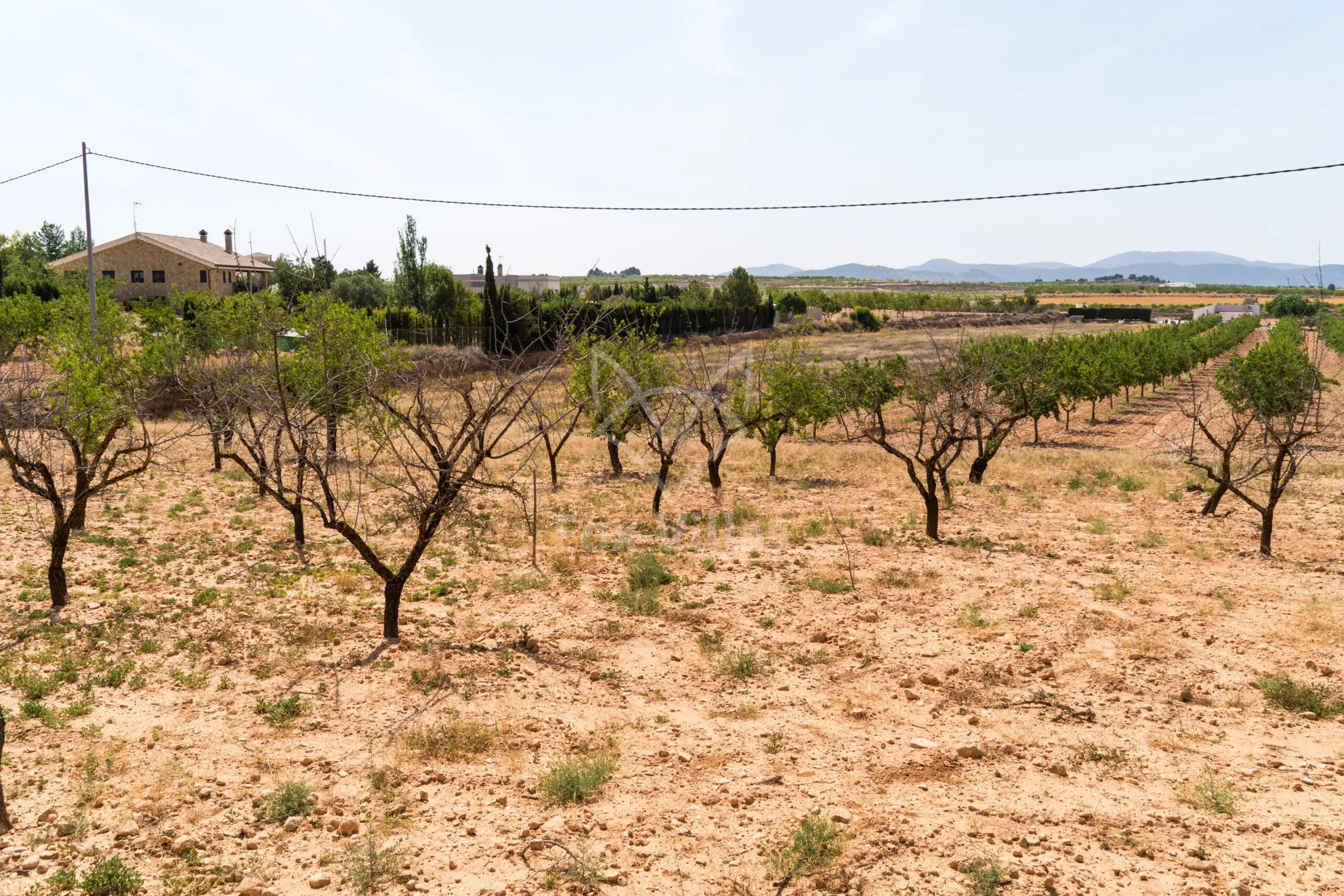 Land 0 M² In Pinoso, Spain
