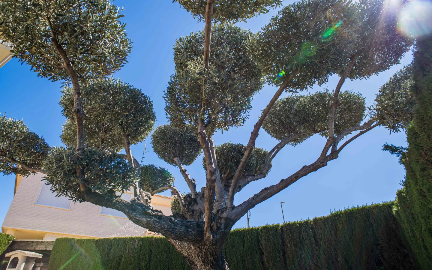 4-bedroom Detached Villa In Elda, Spain (258 M²)