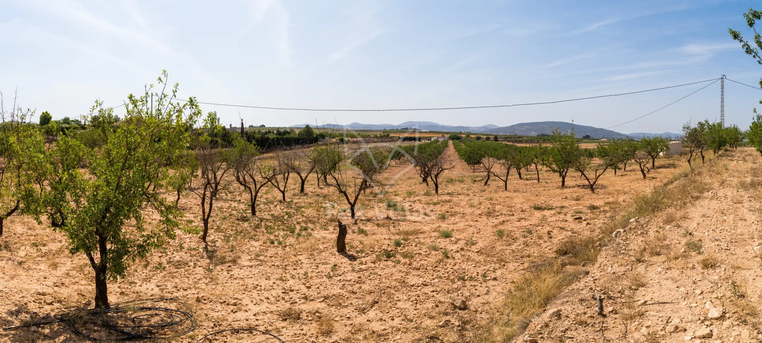 Land 0 M² In Pinoso, Spain
