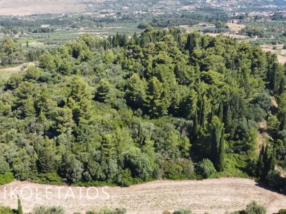 Plot Of 50000 M² In Havriata, Greece