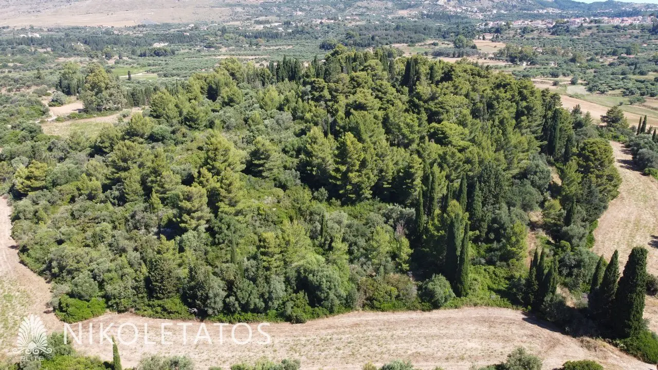 Plot Of 50000 M² In Havriata, Greece