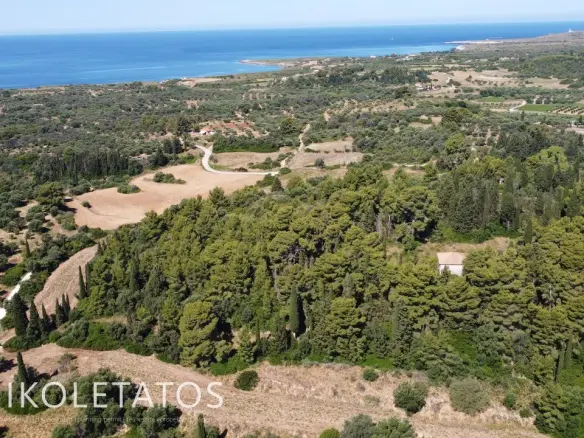 Plot Of 50000 M² In Havriata, Greece