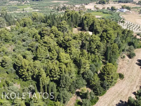 Plot Of 50000 M² In Havriata, Greece