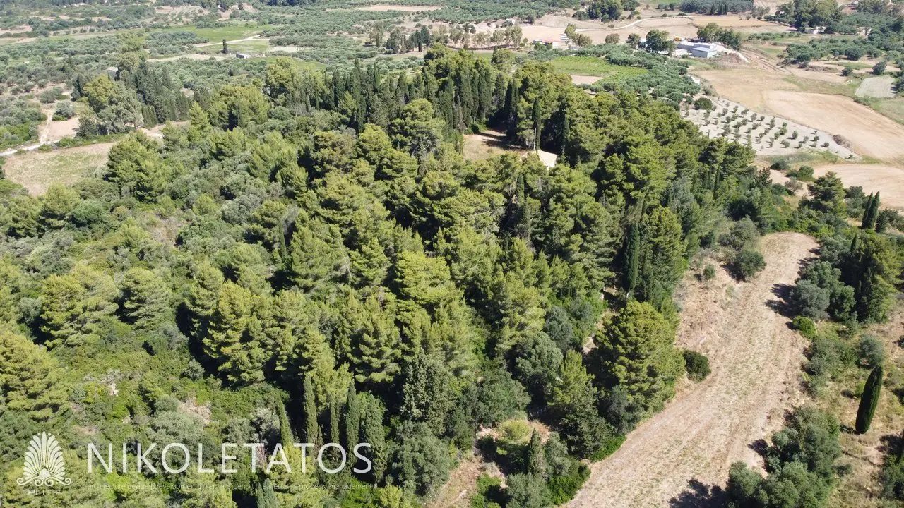 Plot Of 50000 M² In Havriata, Greece
