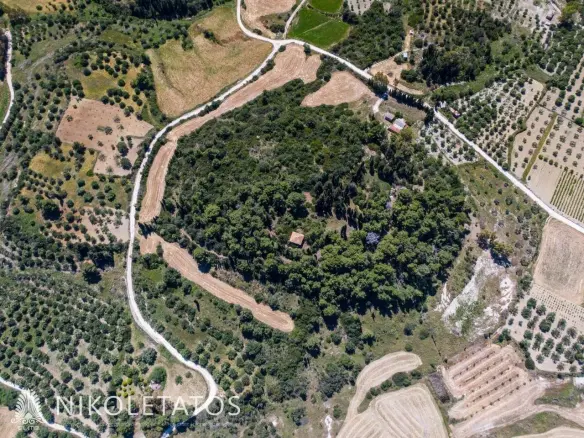 Plot Of 50000 M² In Havriata, Greece