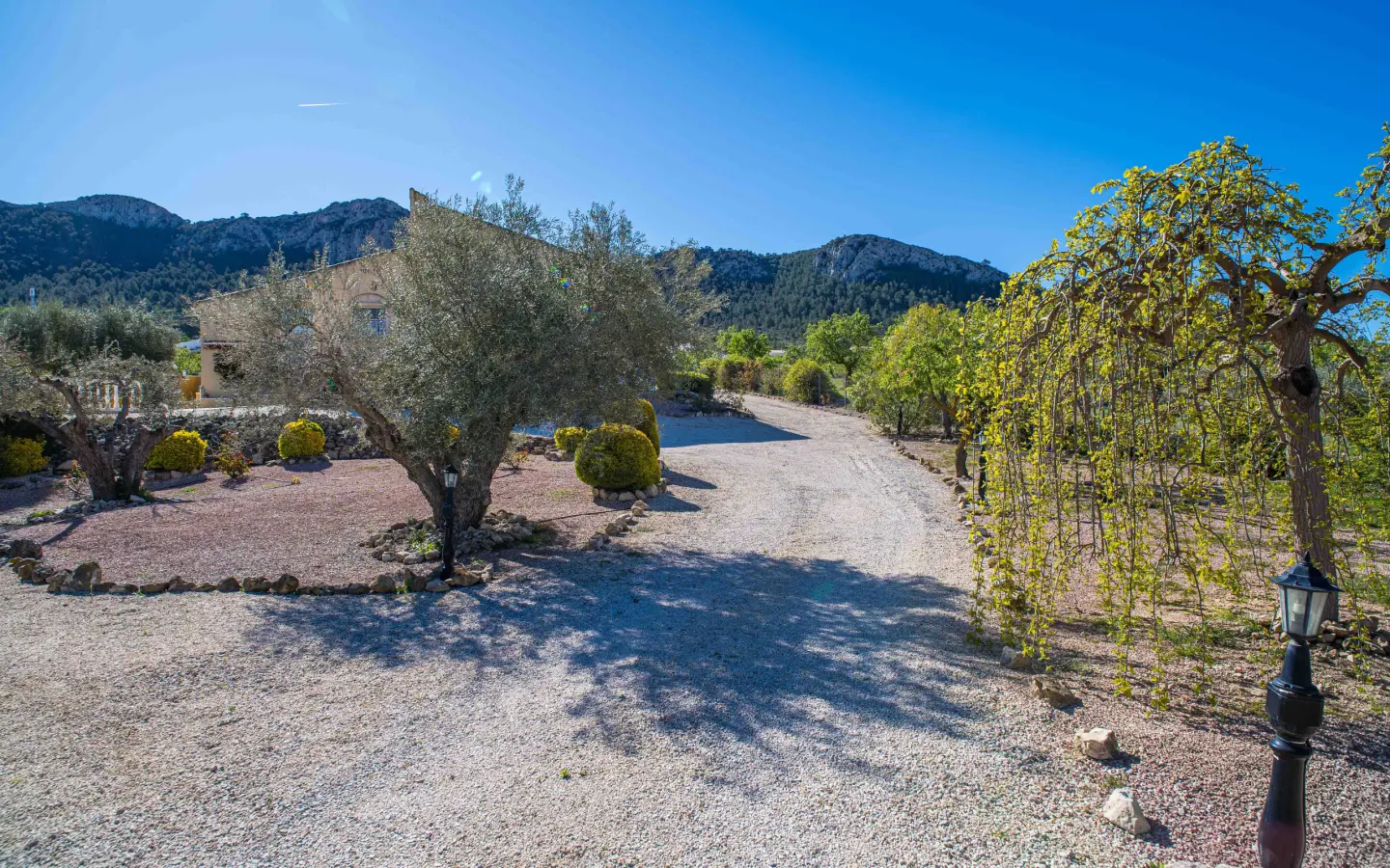 3-bedroom Detached Villa In La Zarza, Spain (222 M²)