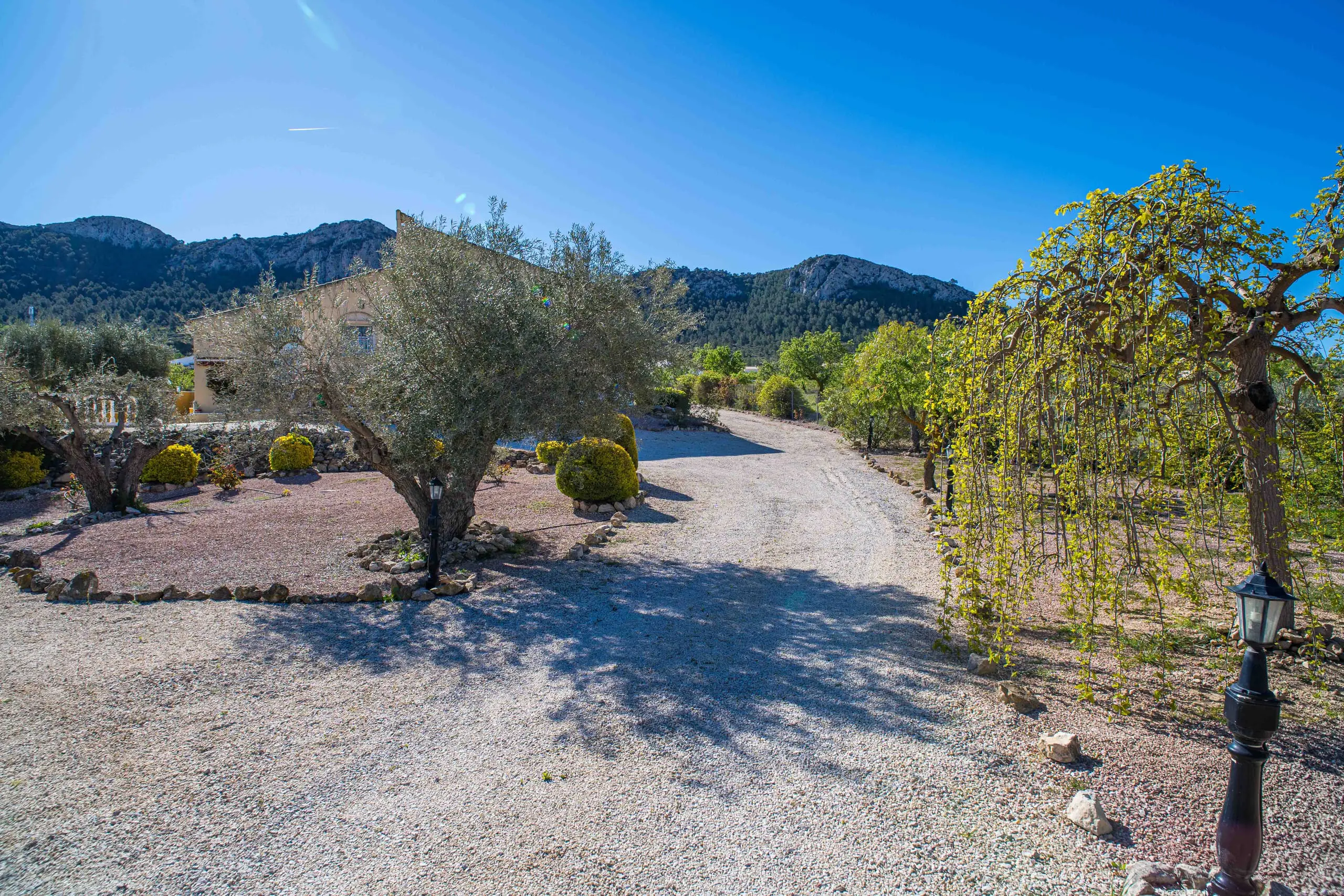 Detached Villa Of 222 M² In La Zarza, Spain
