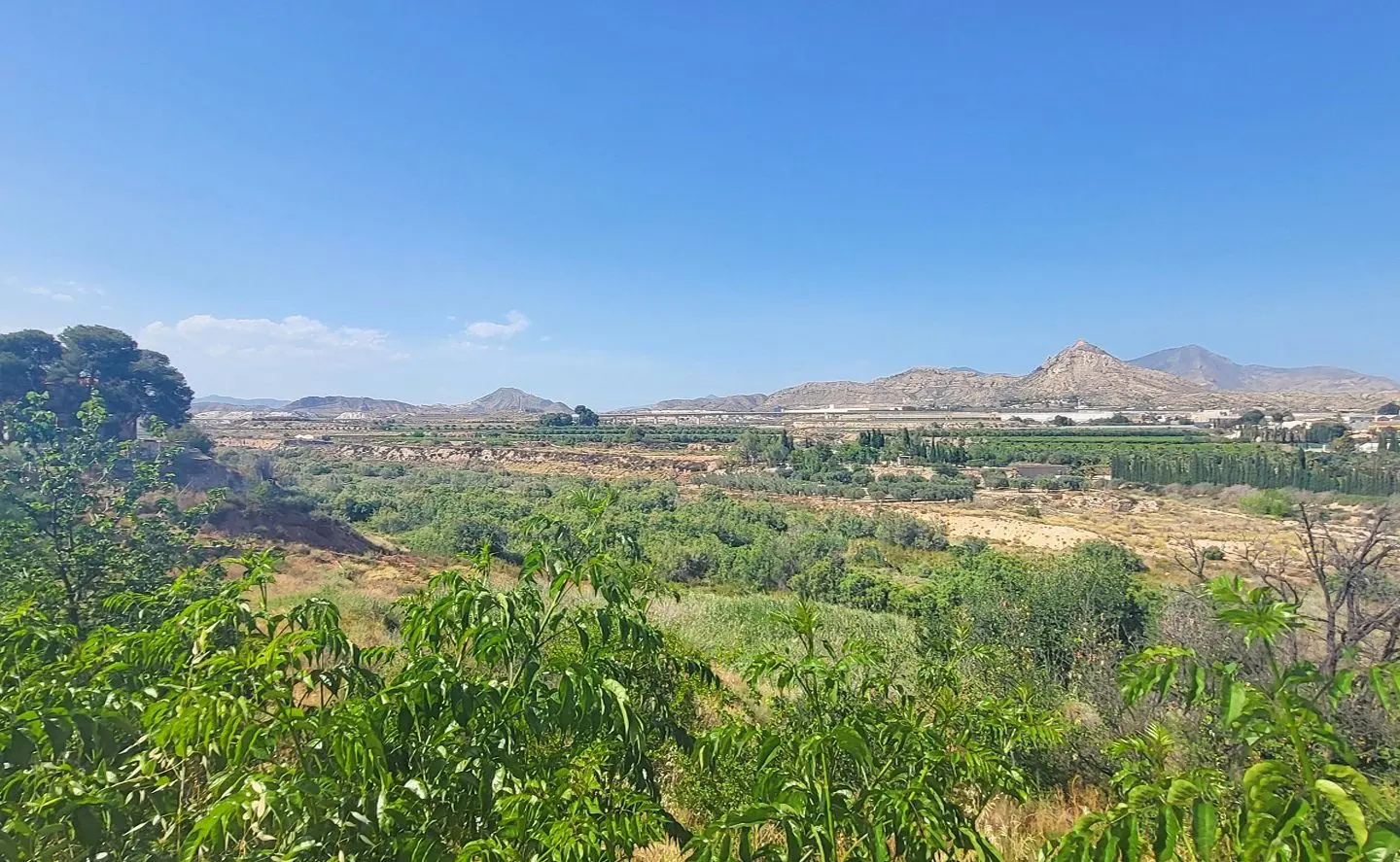 Detached Villa Of 141 M² In Novelda, Spain