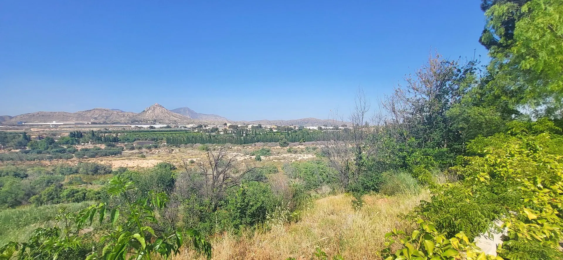 Detached Villa Of 141 M² In Novelda, Spain