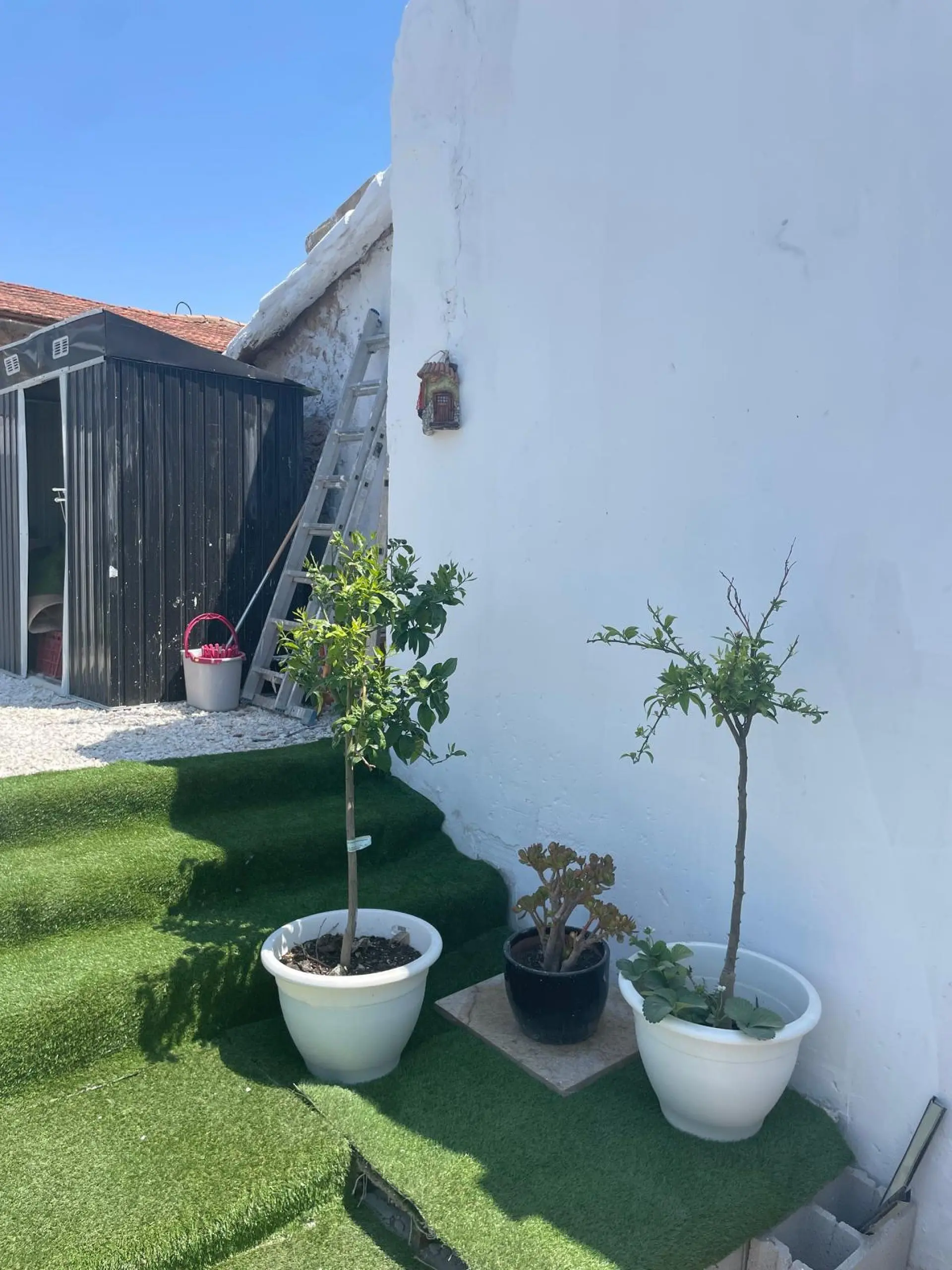 Country House Of 0 M² In Cañada Del Trigo, Spain