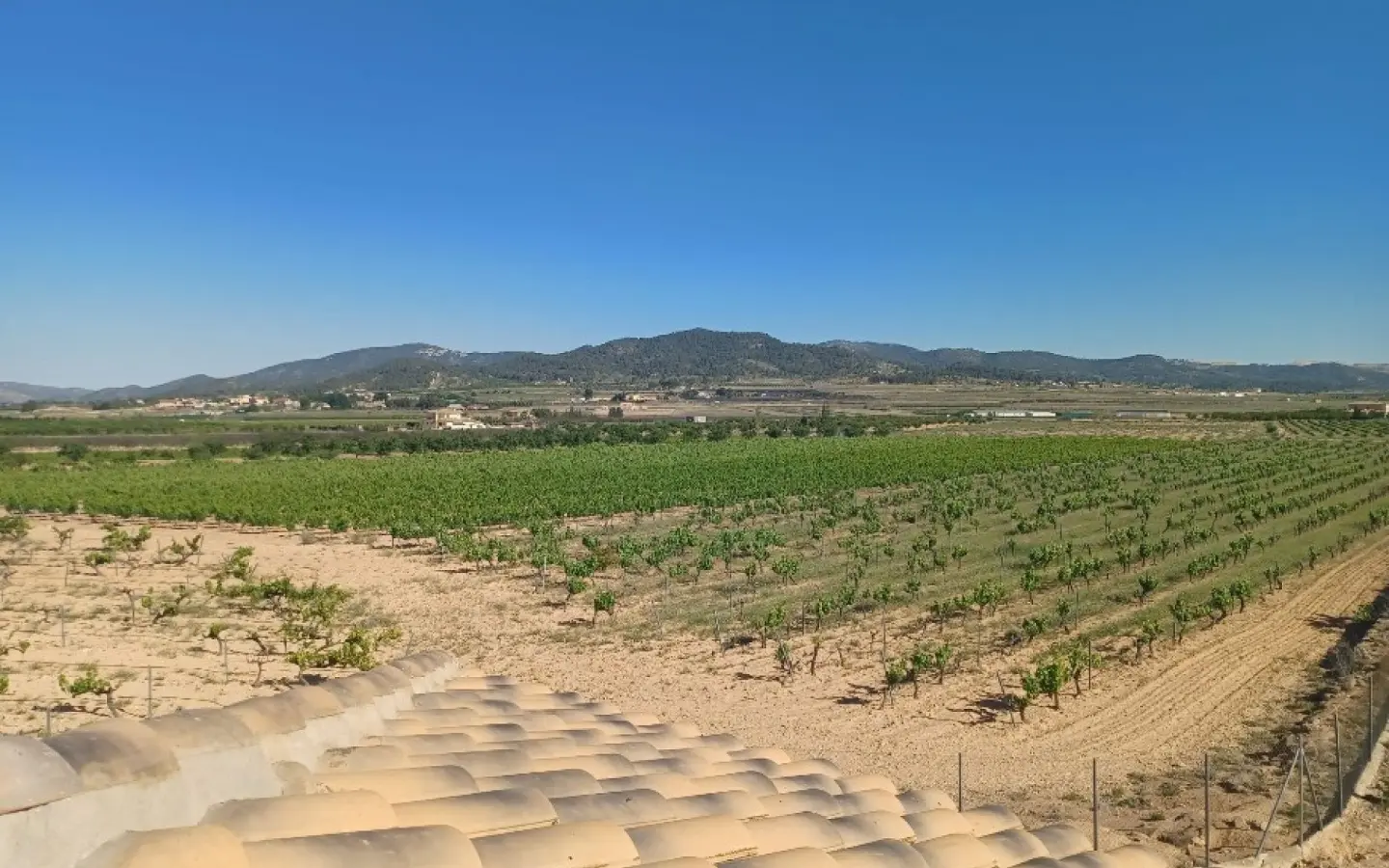 Country House Of 309 M² In Pinoso, Spain