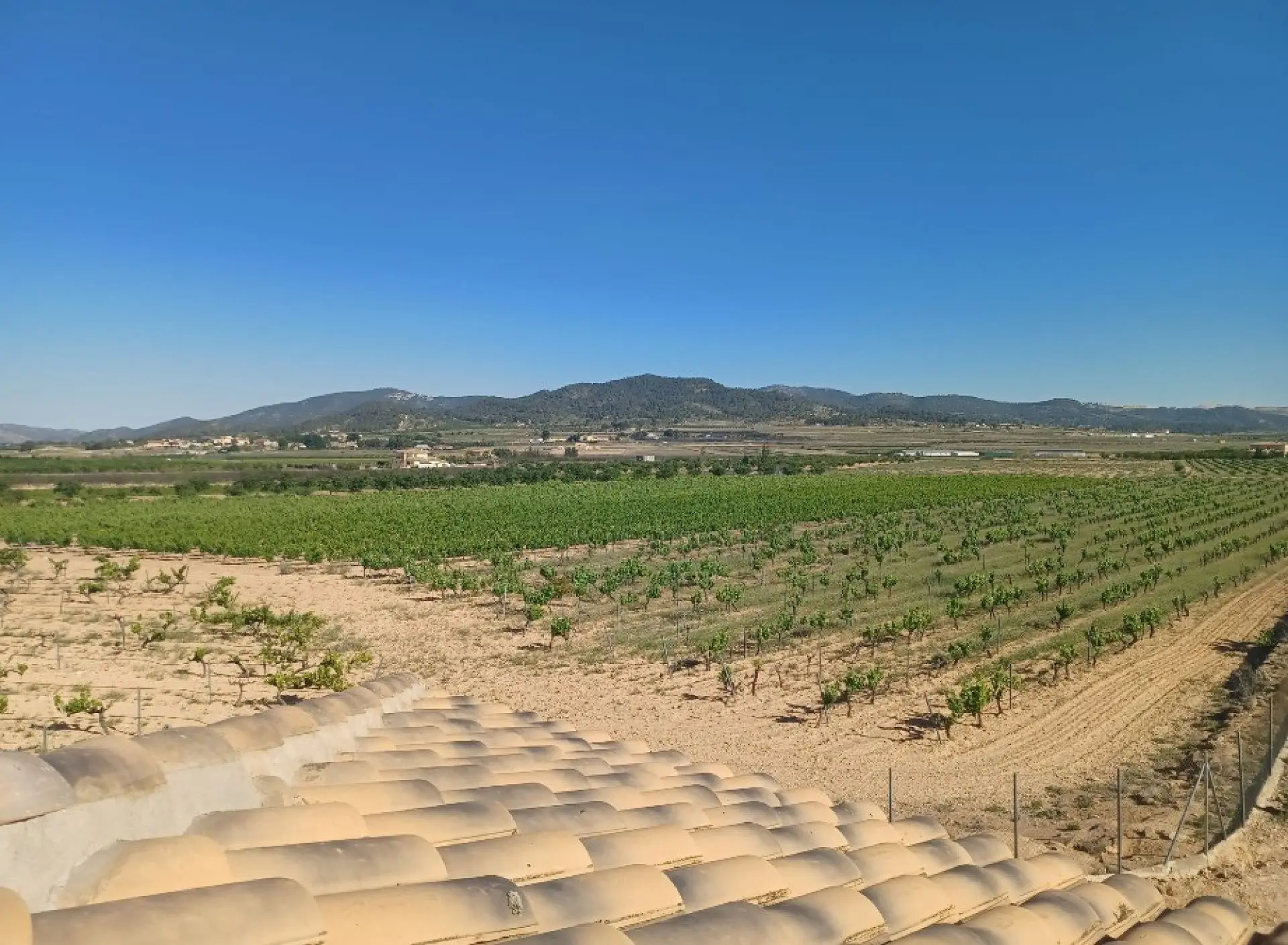 Country House Of 309 M² In Pinoso, Spain