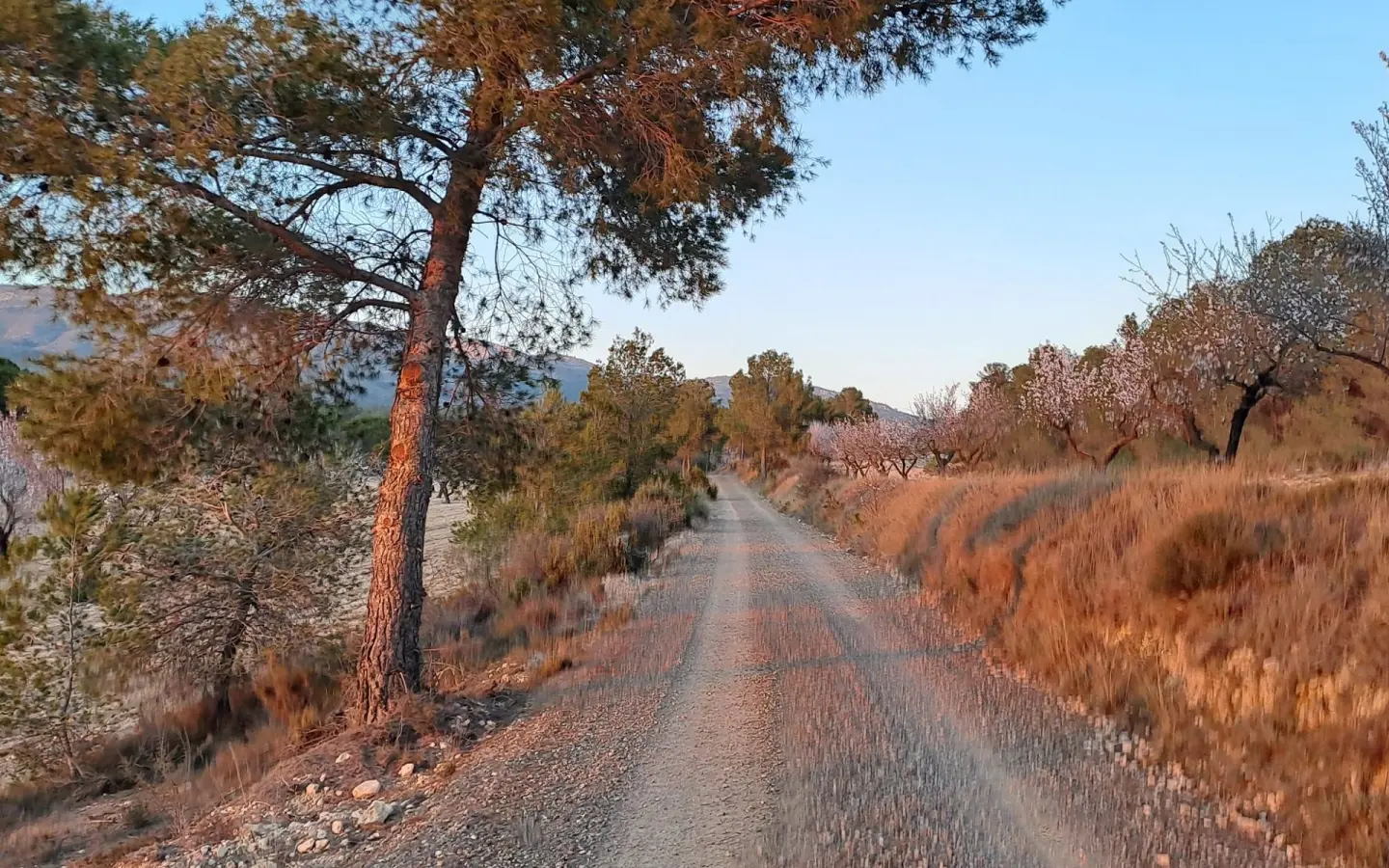 6-bedroom Country House In Sax, Spain (400 M²)