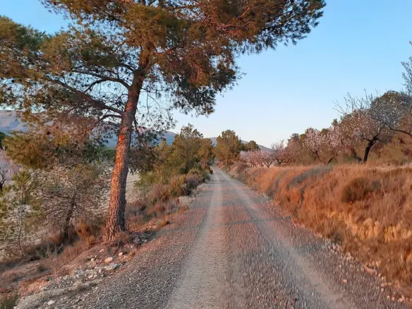 6-bedroom Country House In Sax, Spain (400 M²)