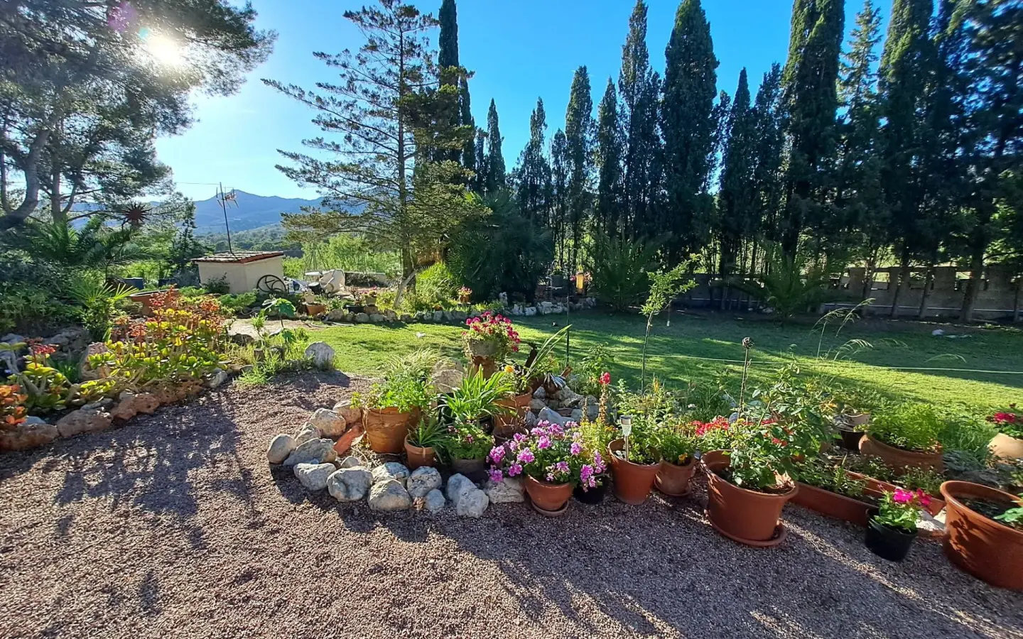 6-bedroom Country House In Sax, Spain (400 M²)
