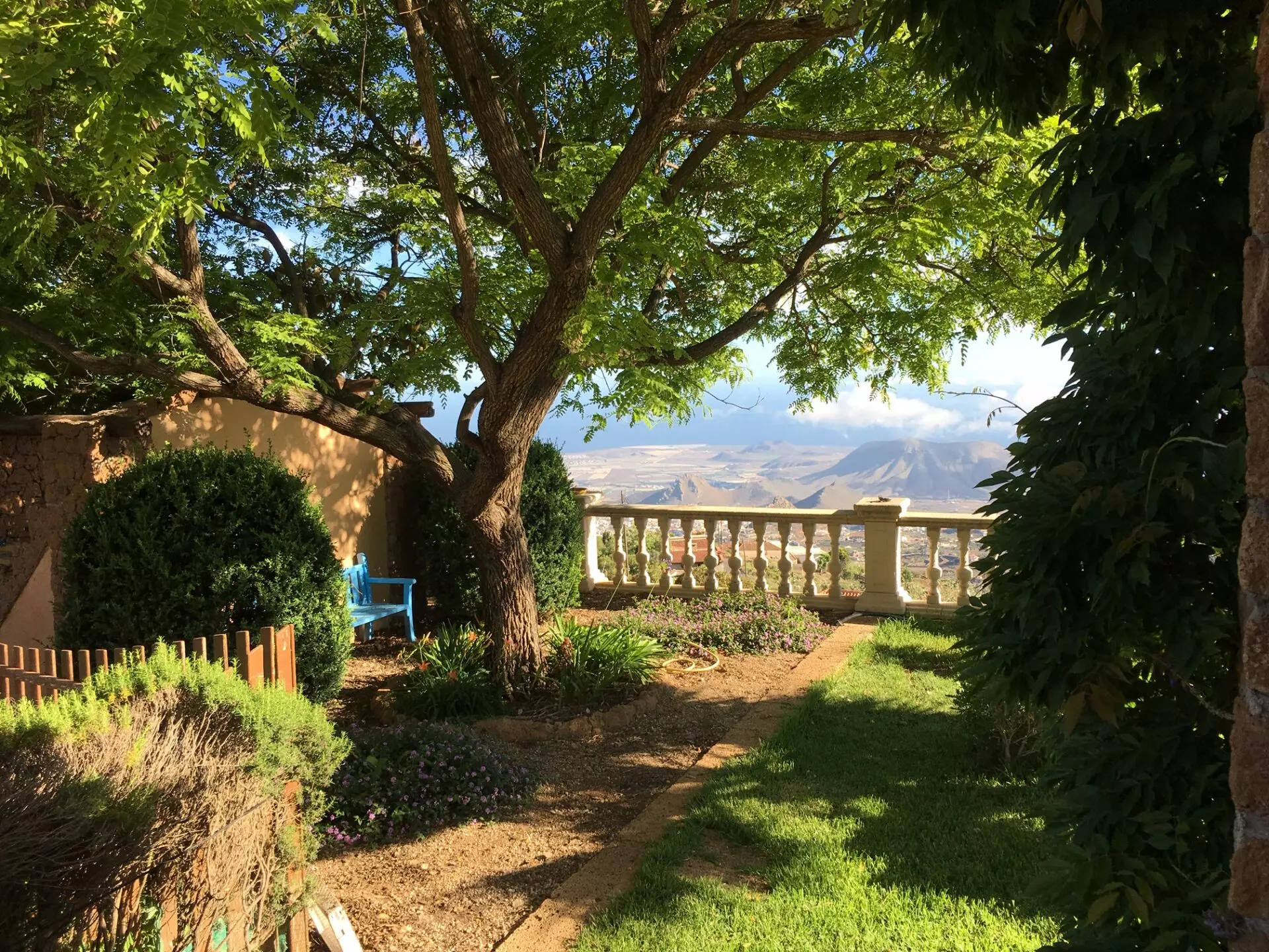 2 IMG_2098 Country House Of 1000 M² With Organic Vineyard, Guest Cottage & Sea Views In Tenerife