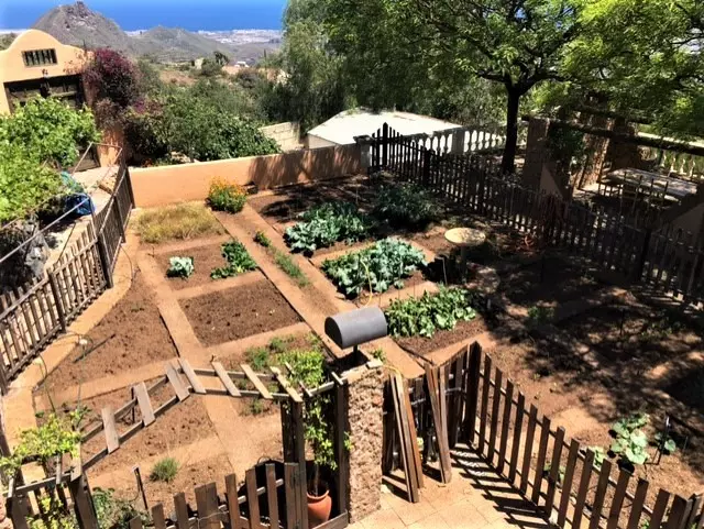 8 Veg Huerta (2) Country House Of 1000 M² With Organic Vineyard, Guest Cottage & Sea Views In Tenerife