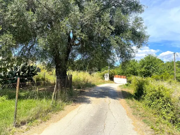 Detached House Of 177 M² In Corfu