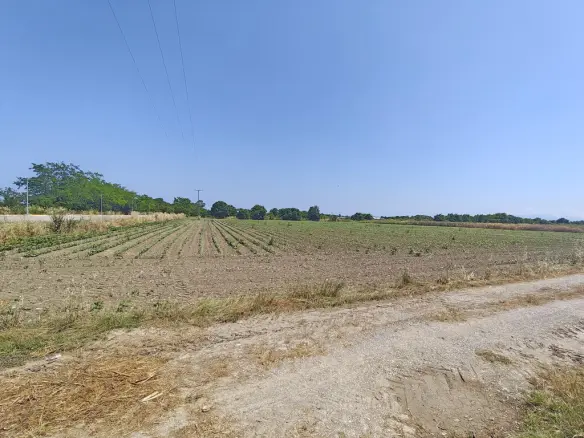 Land Of 16061 M² On The Olympic Coast