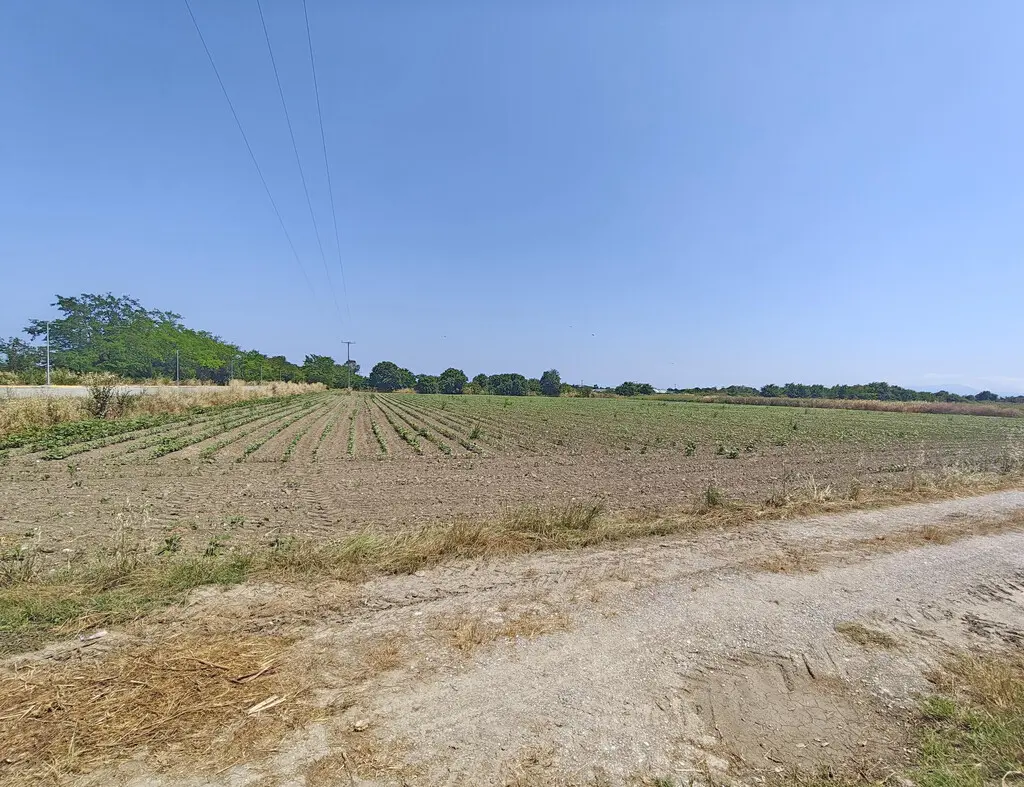 For Sale Land 16061 M² On The Olympic Coast