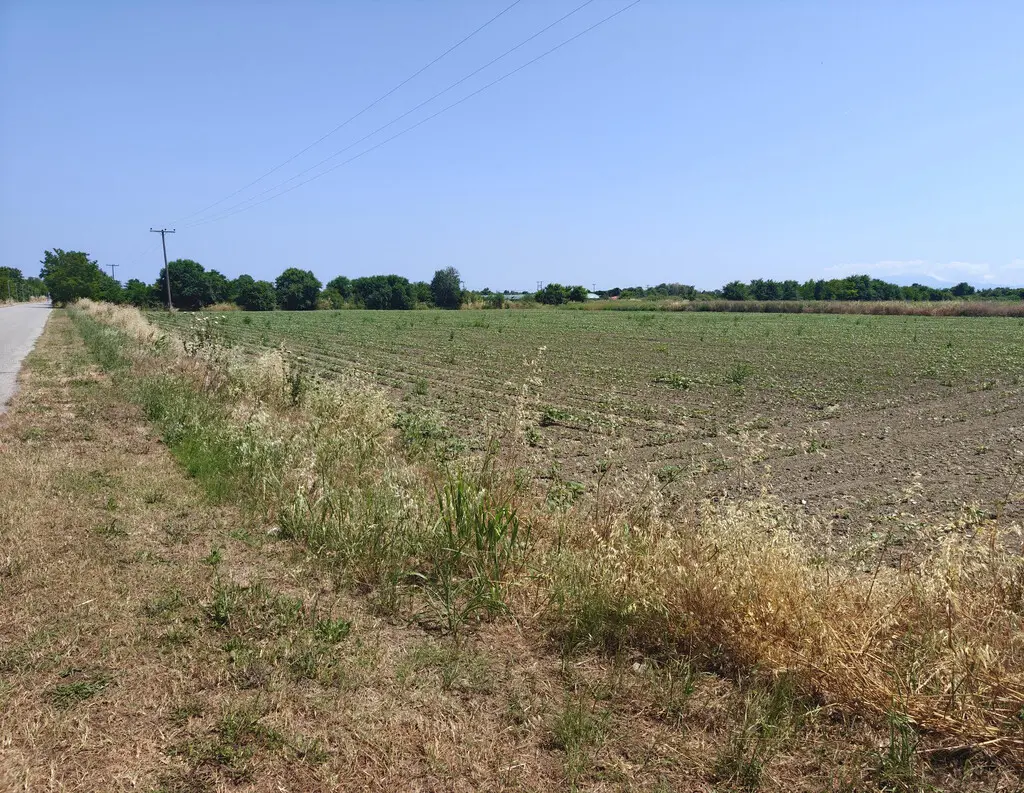 For Sale Land 16061 M² On The Olympic Coast