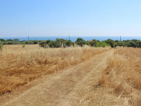 Land Of 13550 M² On The Olympic Coast