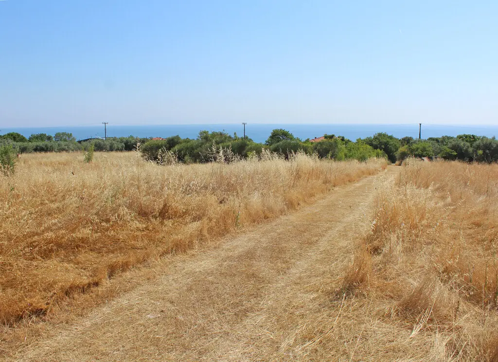 For Sale Land 13550 M² On The Olympic Coast