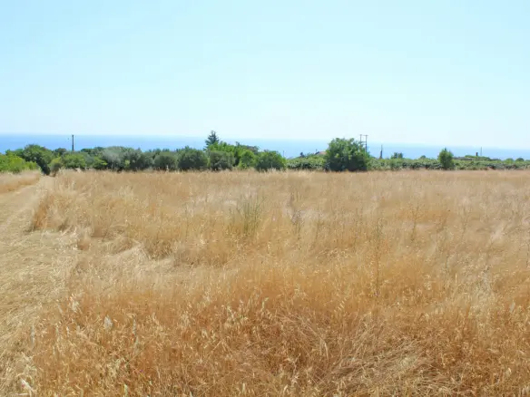 Land Of 13550 M² On The Olympic Coast