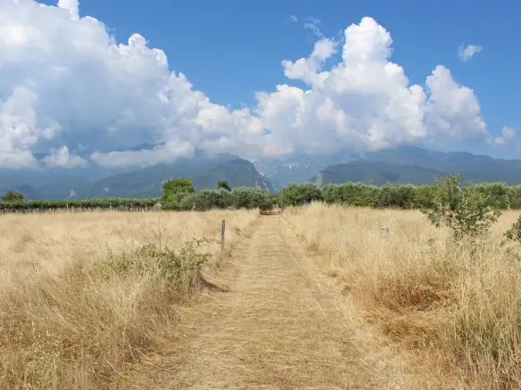 Land Of 13550 M² On The Olympic Coast