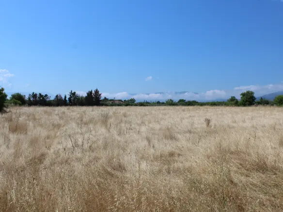Land Of 13550 M² On The Olympic Coast