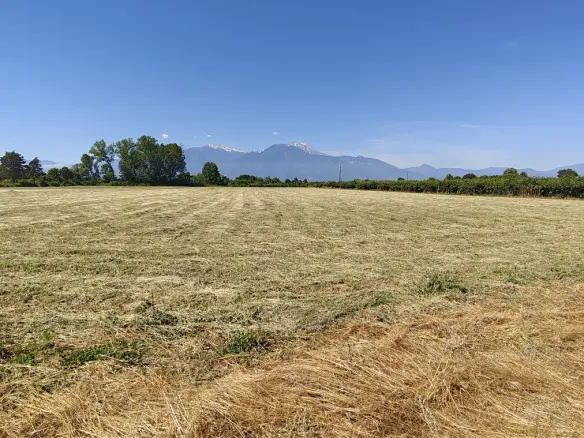 Land Of 5968 M² On The Olympic Coast
