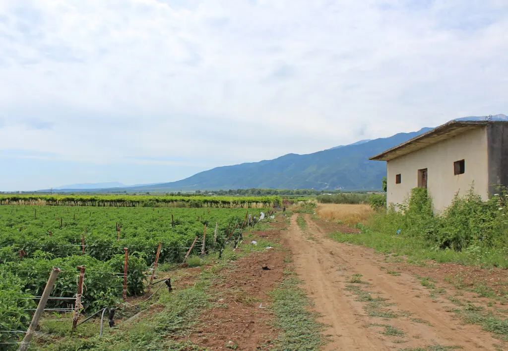 For Sale Land 8500 M² On The Olympic Coast