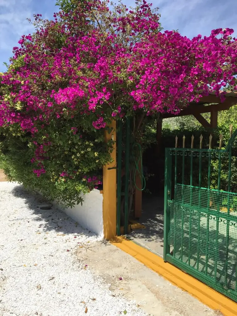 For Sale Detached House 110 M² In Attica