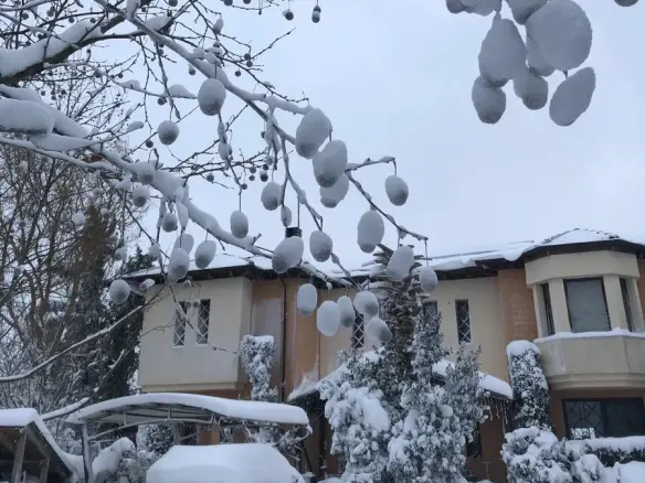 Detached House Of 660 M² In The Suburbs Of Thessaloniki