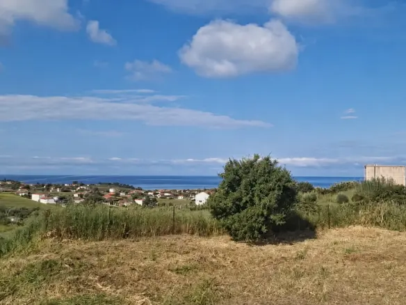 Land Of 1734 M² In Chalkidiki
