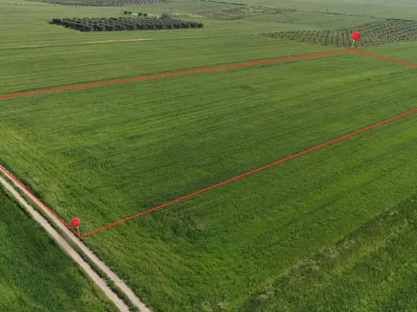 For Sale Land 14600 M² In Chalkidiki