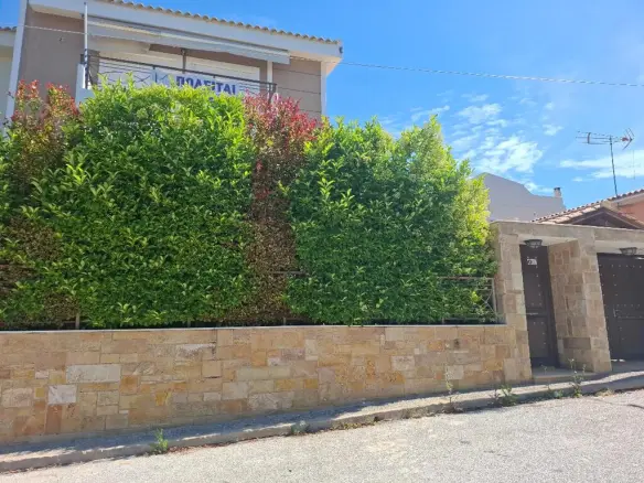 Detached House Of 253 M² In Athens
