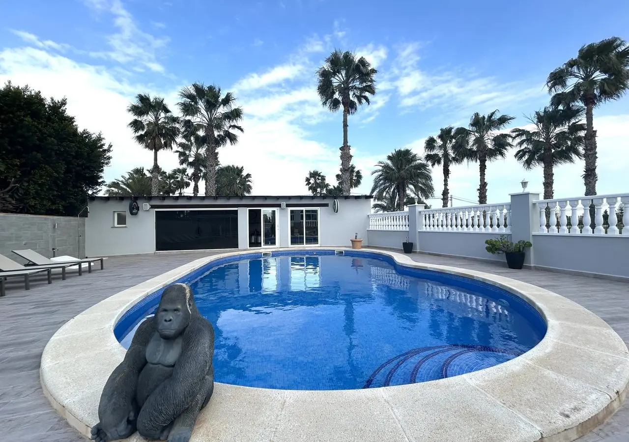 Villa Of 540 M² In Catral, Spain