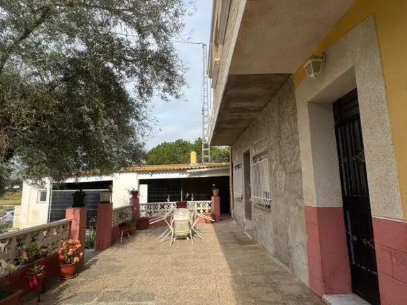 House Of 350 M² In Orihuela, Spain