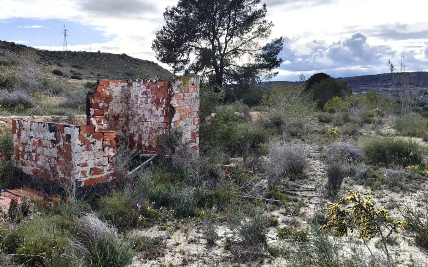 Land In Elche, Spain (6.000 M² Plot)
